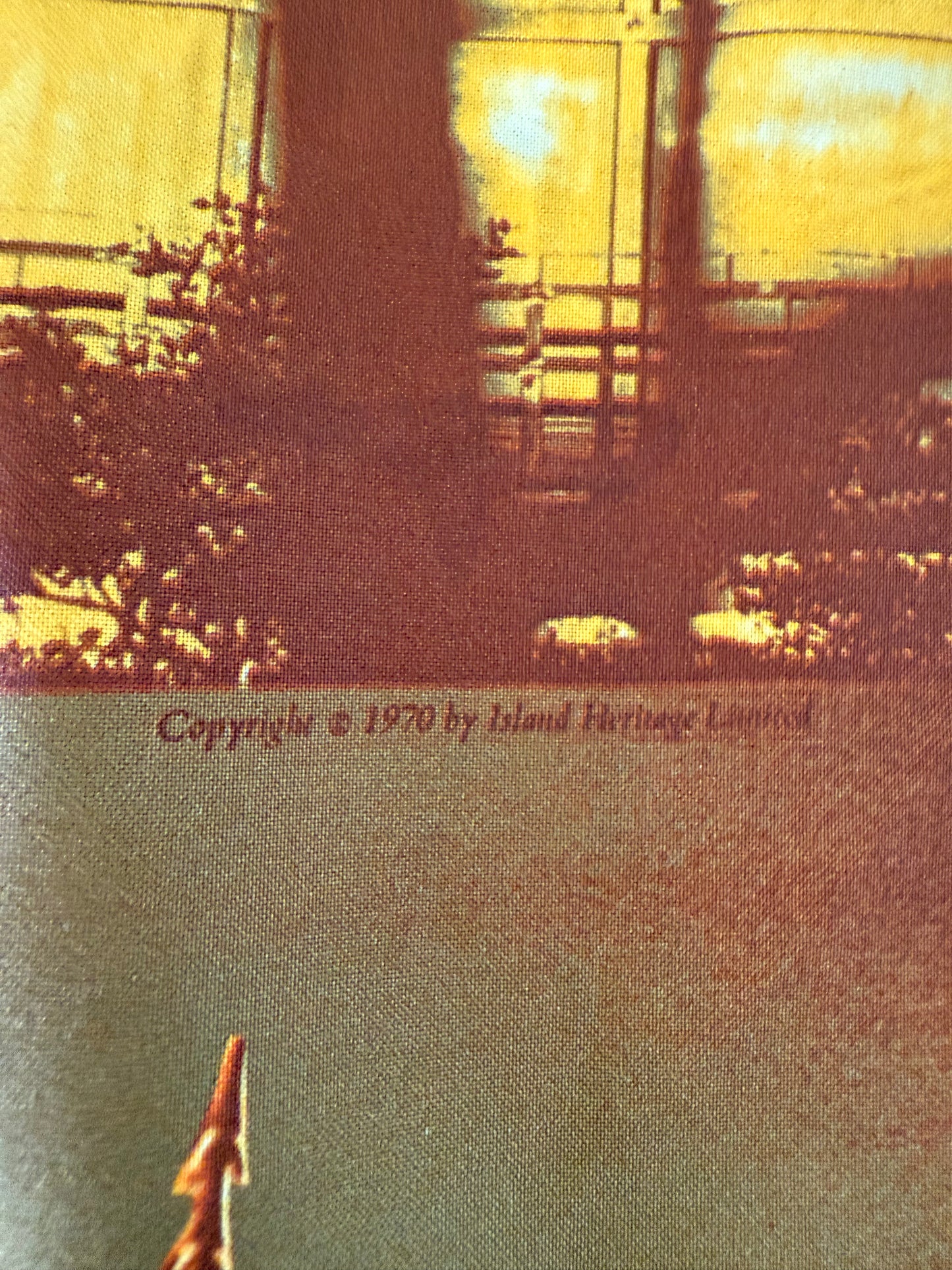 1970s Novelty Hawaiian Scenery